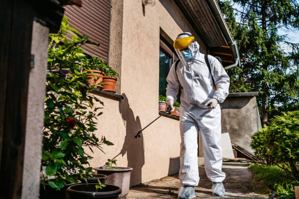 Reliable Rockdale, TX Pest Control Solutions
