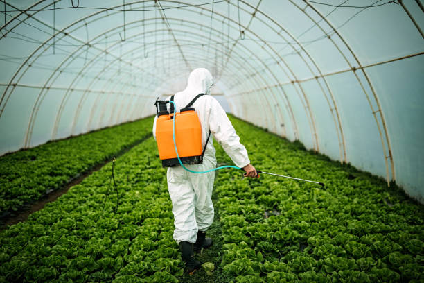 Best Residential Pest Control  in Rockdale, TX