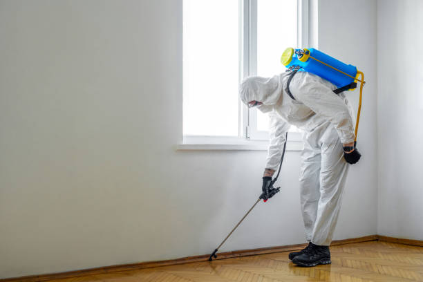 Best Best Pest Control Companies  in Rockdale, TX