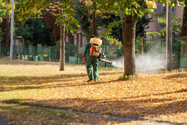Best Mosquito Control Services  in Rockdale, TX