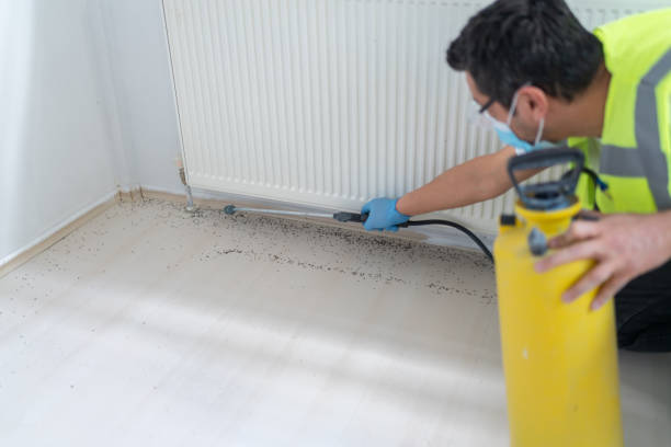 Best Bed Bug Extermination  in Rockdale, TX