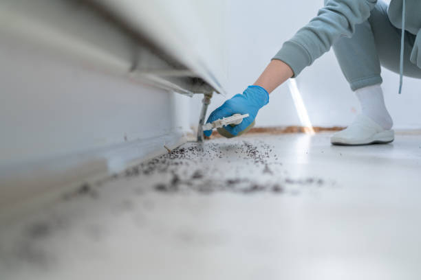 Best Wildlife Control Services  in Rockdale, TX