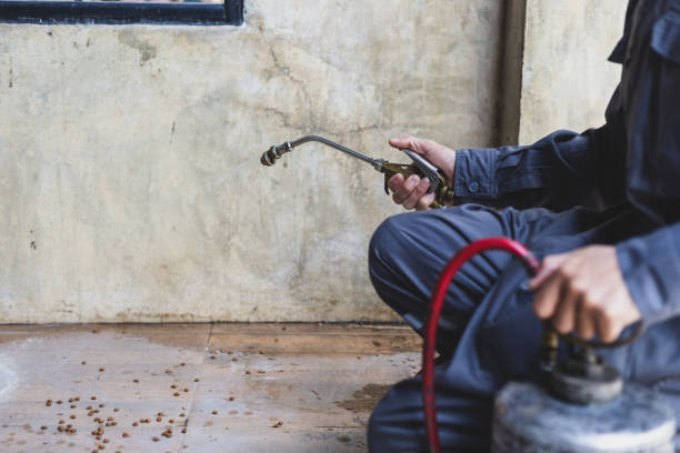 Professional Pest Control in Rockdale, TX